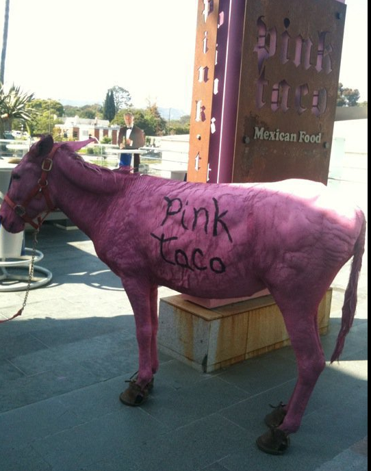  of Pink Taco care more about a spray painted ass than anything else