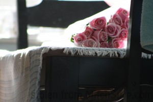 Photos of roses @mitchsurp