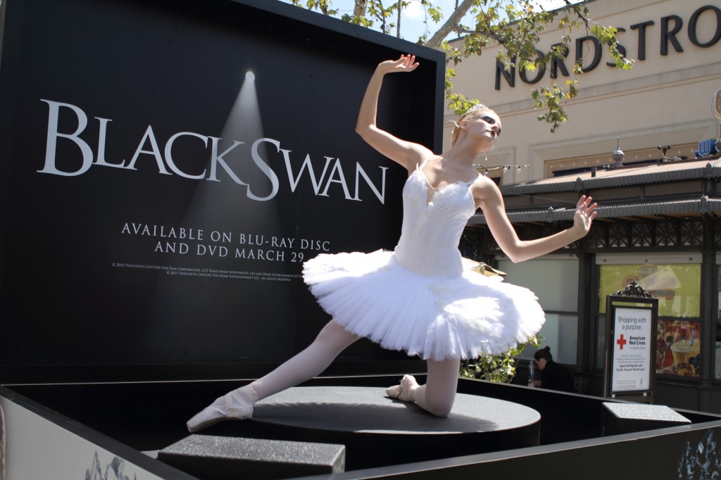 Black Swan White Swan