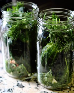 Making Dill Pickles