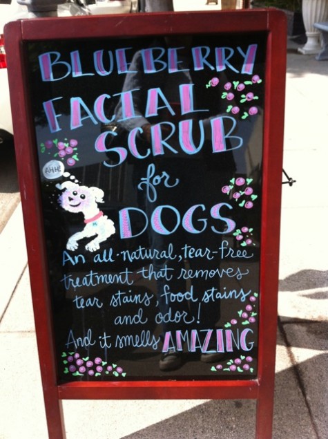 Beverly Hills facials for dogs